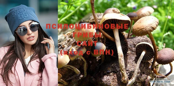 первитин Белокуриха