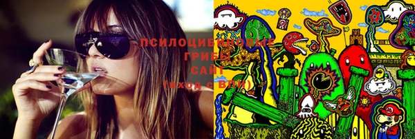 стафф Беломорск