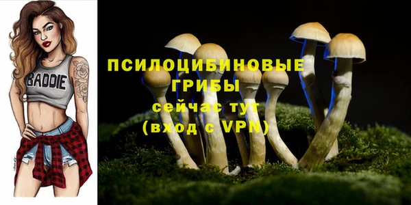 дмт Белоозёрский